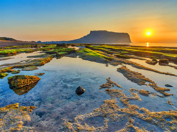 生态环境系统填报